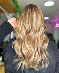 SHAMPOO CUBRE CANAS MALAYA CON TRATMIENTO