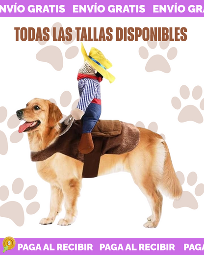 DISFRAZ VIRAL DE JINETE PARA MASCOTAS🏇