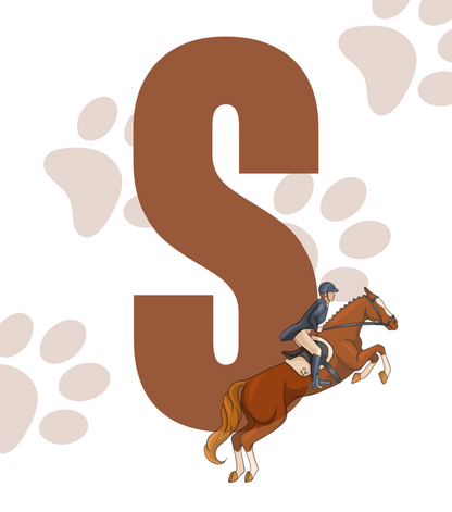 DISFRAZ VIRAL DE JINETE PARA MASCOTAS🏇