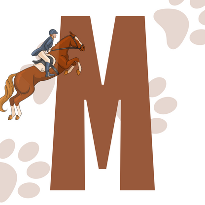 DISFRAZ VIRAL DE JINETE PARA MASCOTAS🏇