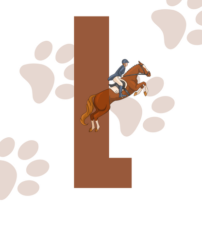 DISFRAZ VIRAL DE JINETE PARA MASCOTAS🏇