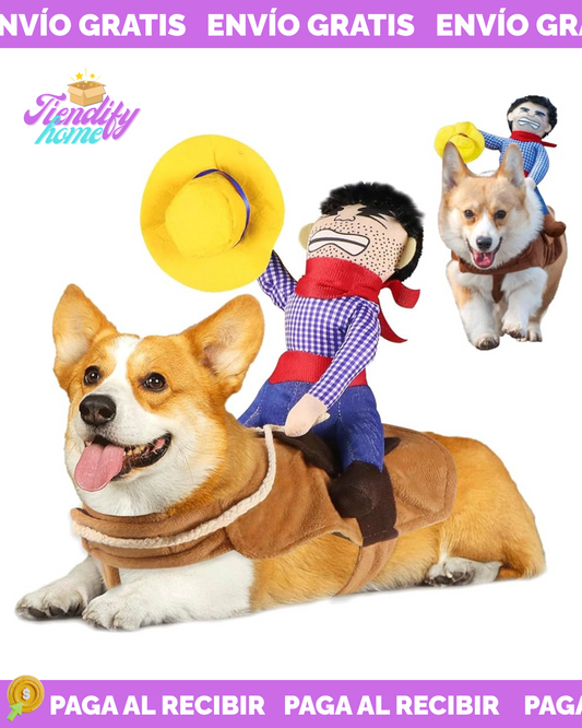 DISFRAZ VIRAL DE JINETE PARA MASCOTAS🏇
