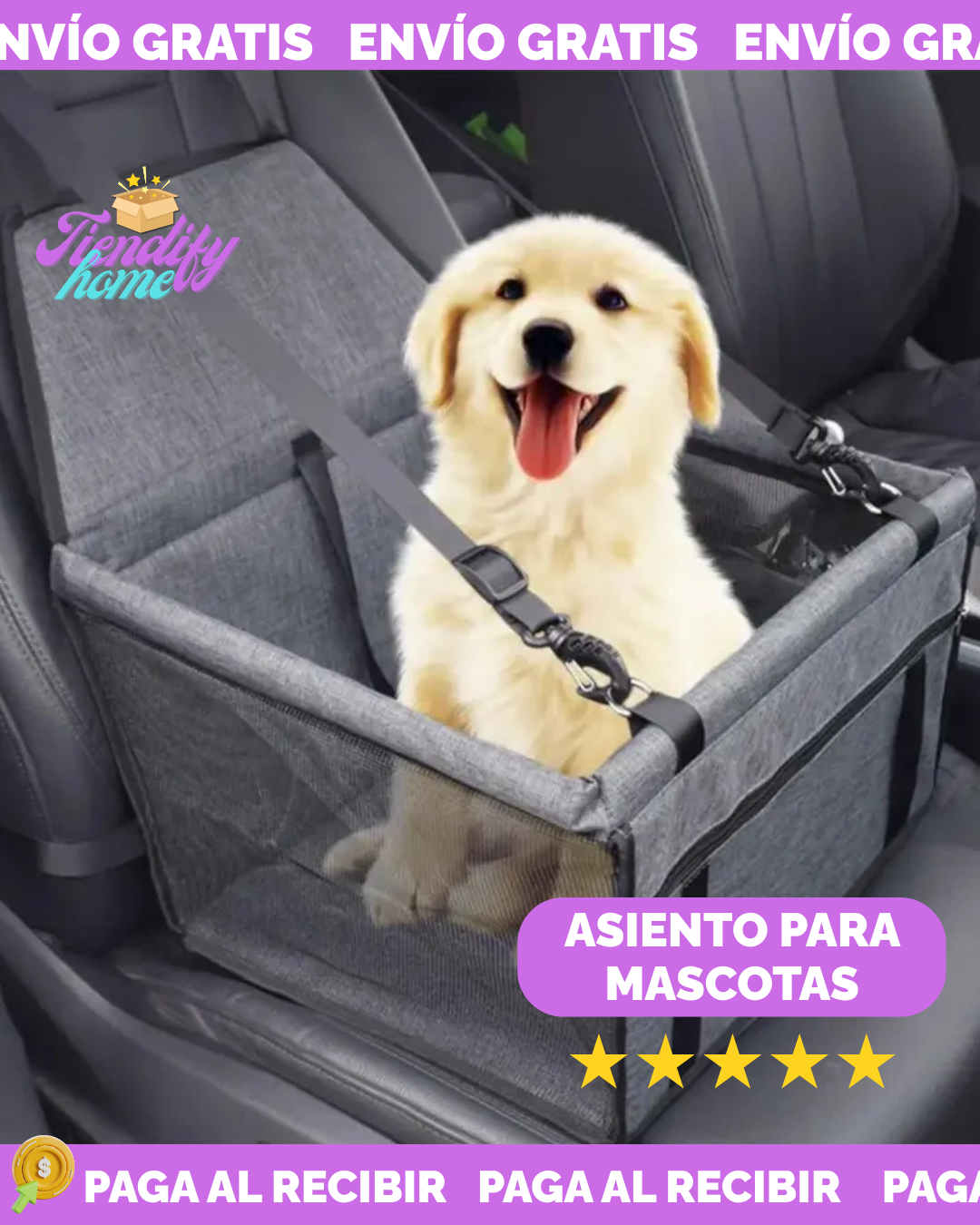 SILLAS PARA MASCOTAS